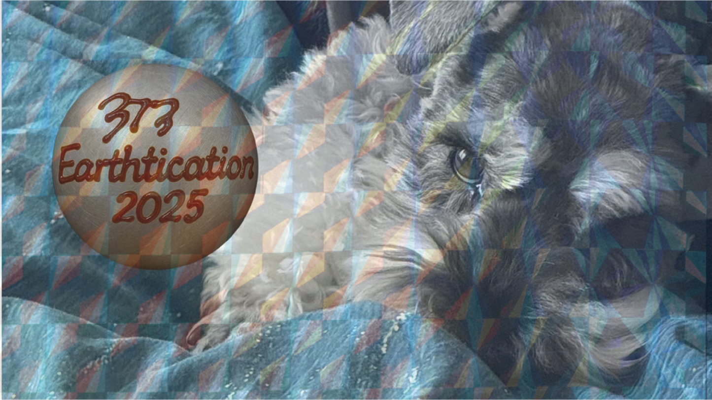 3️⃣7️⃣3️⃣ 美波 - Earthtication - 薄貼紙 (1組7張) ♪︎