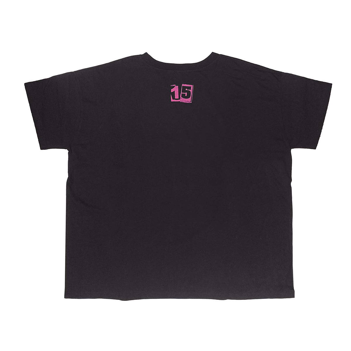 ❤️🔥 LiSA - LiVE is Smile Always~15~ - BiG 15 T-Shirt ♪︎