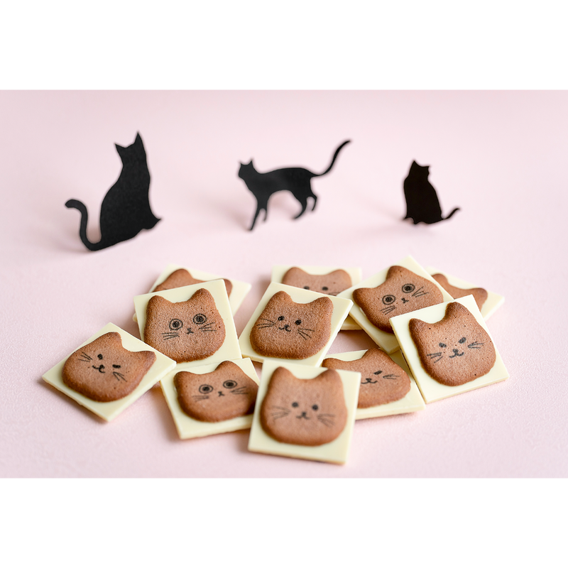 montearea - 日本信州 - 貓咪餅乾禮盒 neko cookie ♪︎