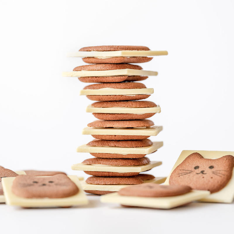 montearea - 日本信州 - 貓咪餅乾禮盒 neko cookie ♪︎