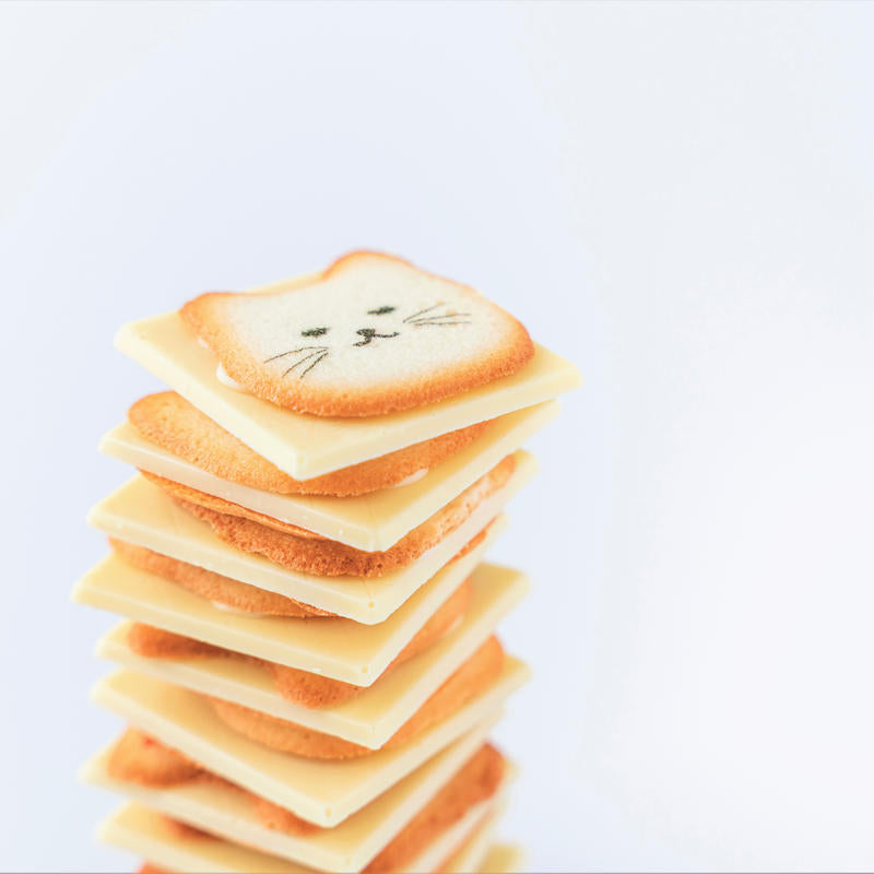 montearea - 日本信州 - 貓咪餅乾禮盒 neko cookie ♪︎