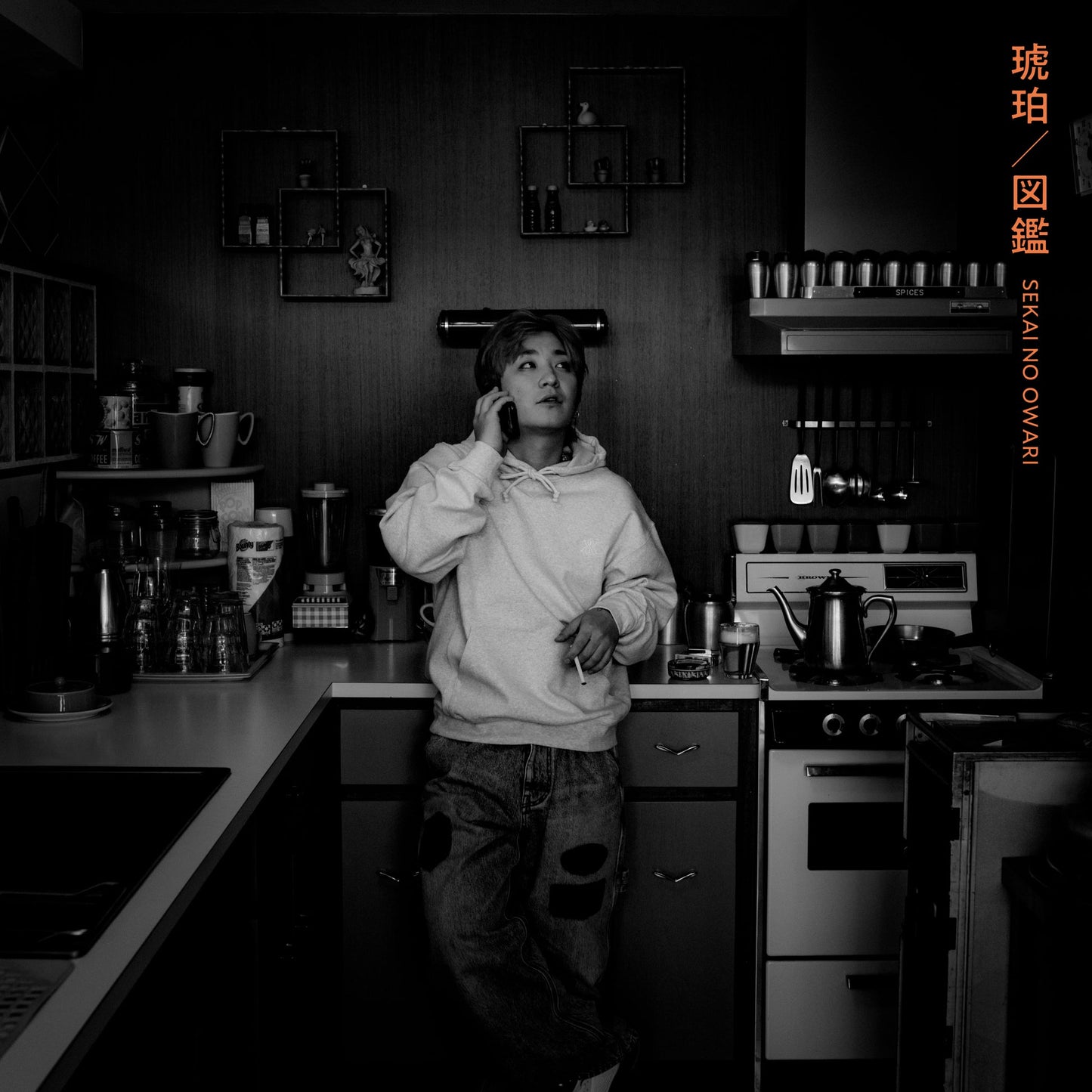 🤡 SEKAI NO OWARI - 琥珀/圖鑑 - 【通常盤A】【CD】 ♪︎
