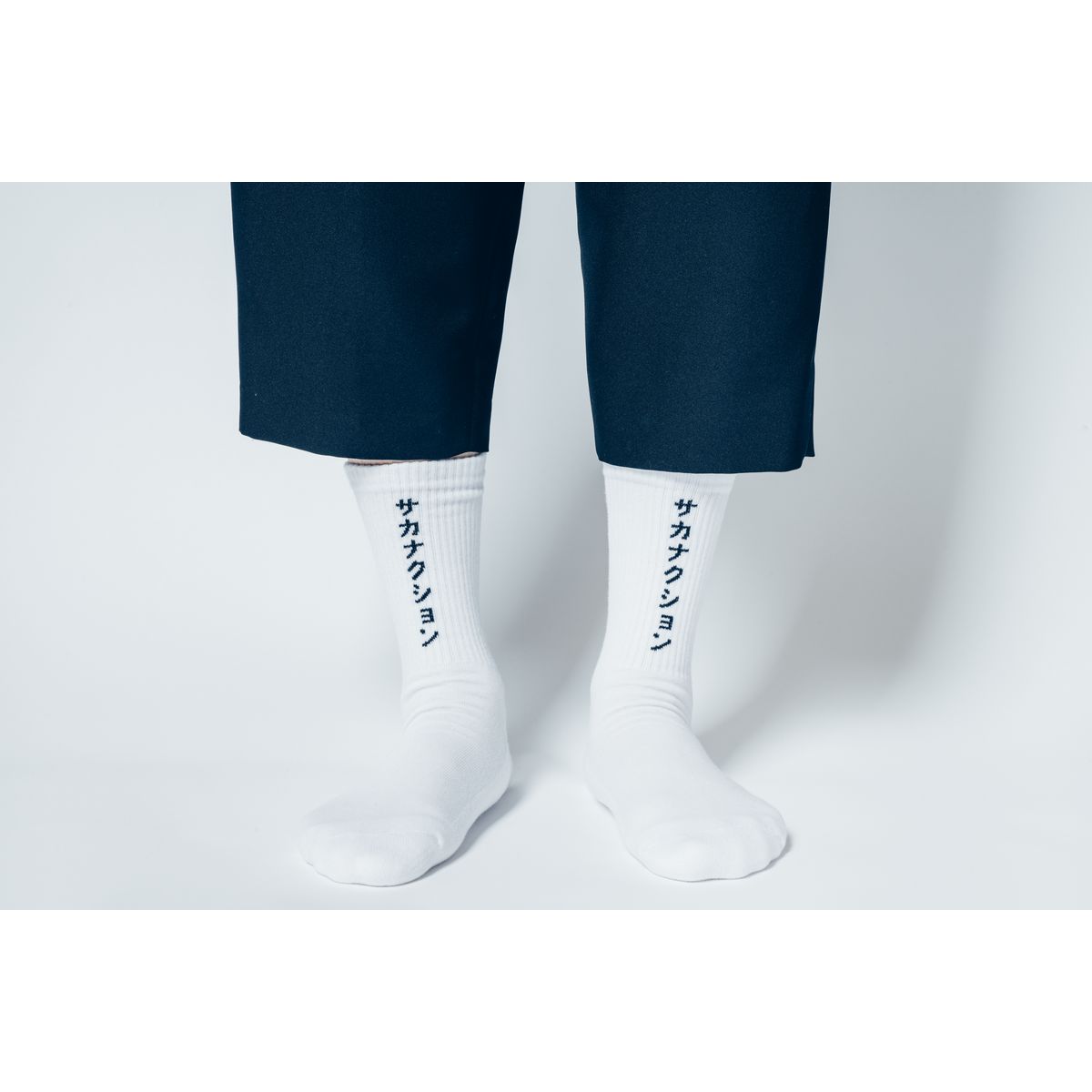 🐟 sakanaction - SAKANAQUARIUM 2025 “怪獣” - SOCKS “怪獣” ♪︎