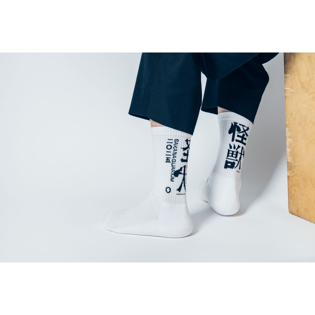 🐟 sakanaction - SAKANAQUARIUM 2025 “怪獣” - SOCKS “怪獣” ♪︎