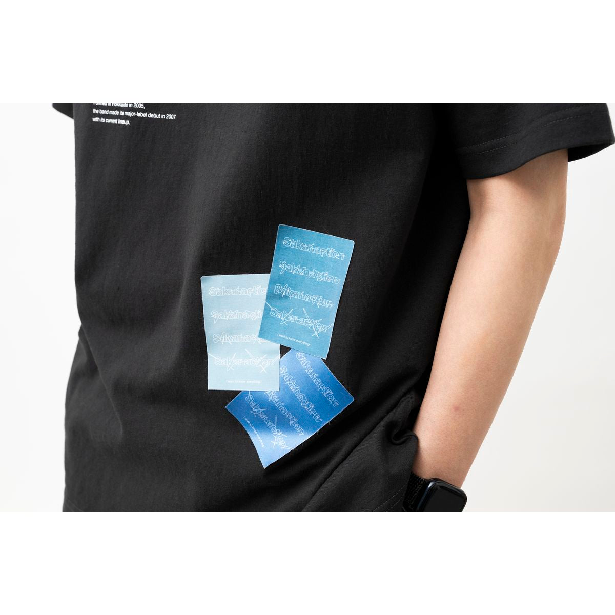 🐟 sakanaction - LIVE at SGC HALL ARIAKE - MIRROR & SATIN STICKER SET ♪︎ - 【長期預購-7月中旬】