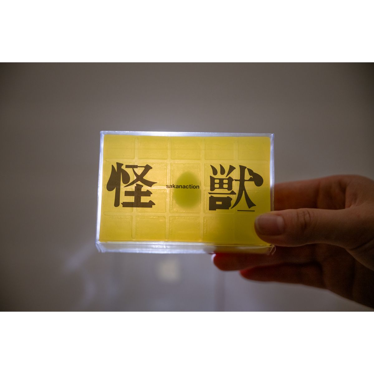 🐟 sakanaction - SAKANAQUARIUM 2025 “怪獣” - "那面牆" 肥皂 ♪︎