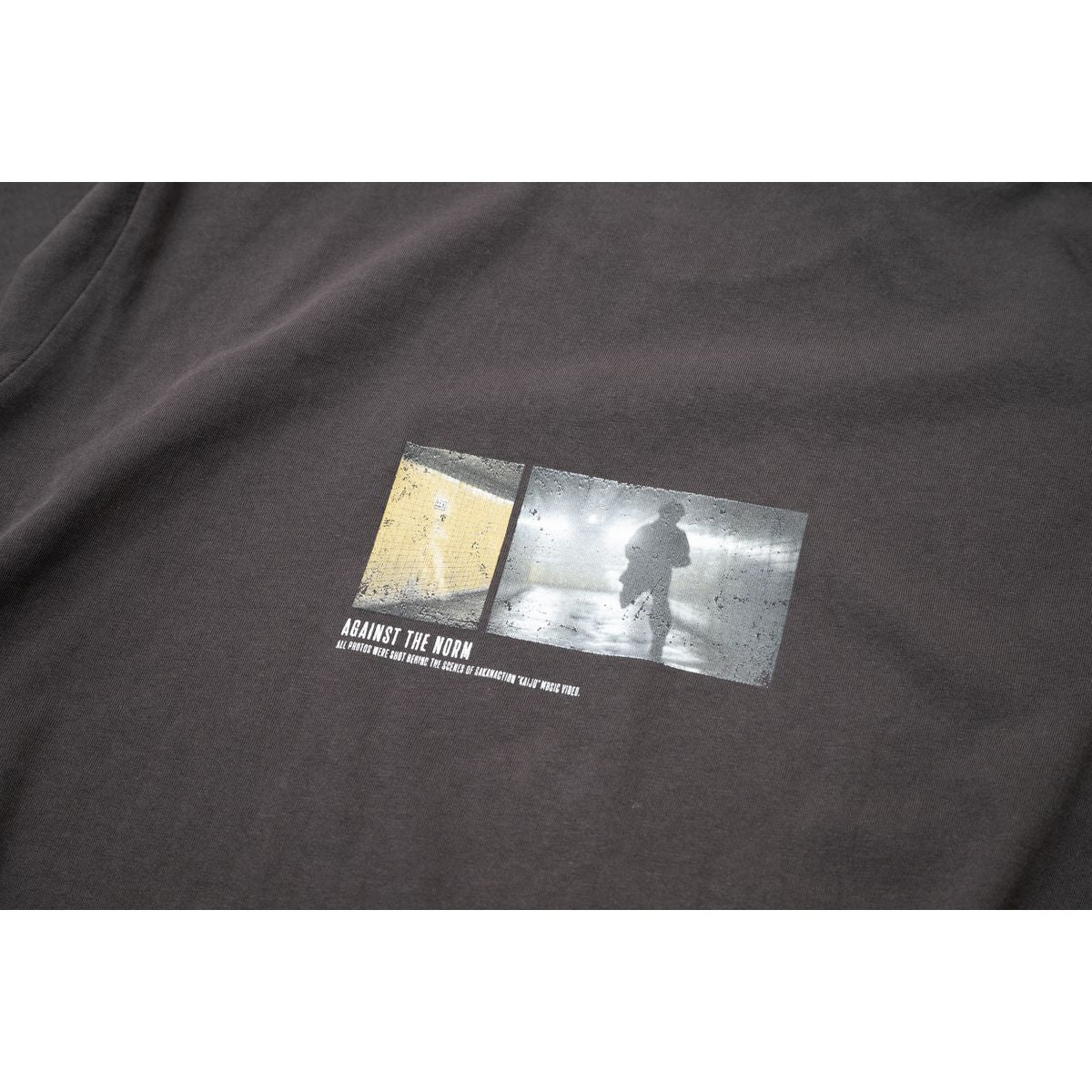 🐟 sakanaction - SAKANAQUARIUM 2025 “怪獣” - “怪獣” VINTAGE TEE ♪︎