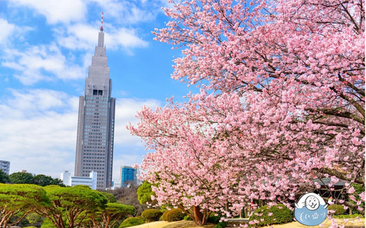 🔉東京桜名所　Part.2