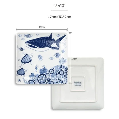 natural69 - cocomarine - 正角盤 ♪︎