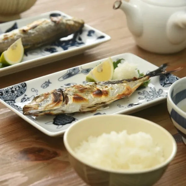 natural69 - cocomarine - 長角盤 ♪︎