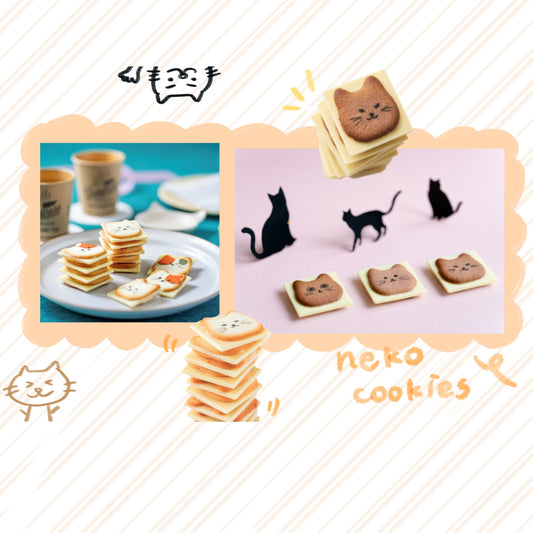 日本信州 - 貓咪餅乾禮盒 neko cookie ♪︎