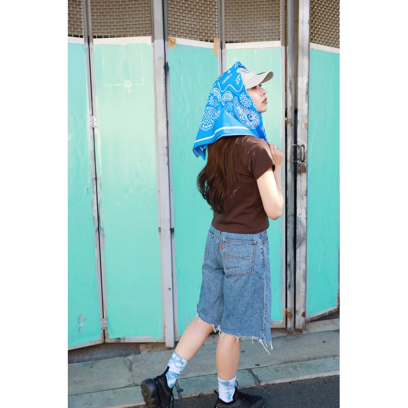 🌊 back number - Grateful Yesterdays Tour 2026 - IYO佩斯利花紋大方巾 BLU ♪︎