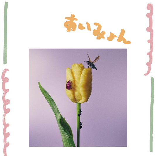 🐬 AIMYON - 12吋黑膠 - 3rd Album『おいしいパスタがあると聞いて』 ♪︎