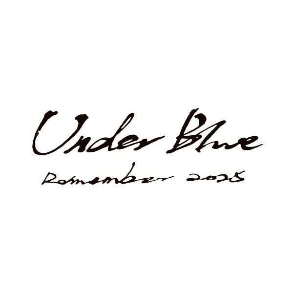 🎮 Eve - Eve Arena Tour 2025 [Under Blue] - skeleton連帽外套 ♪︎