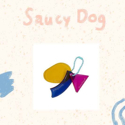 🐶 Saucy Dog - HALL TOUR 2025 "ONE FOR hALL, hALL FOR ONE one TOUR" - 藝術照壓克力鑰匙圈/SET B ♪︎