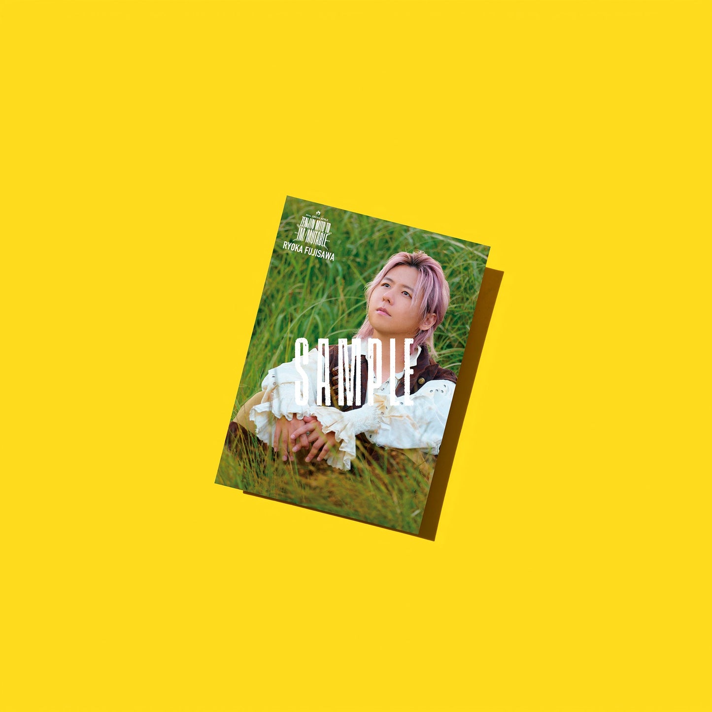 🍏 Mrs. GREEN APPLE - ≪ゼンジン未到とイ/ミュータブル〜間奏編〜≫ - MGA Special Photo Card Set “IM/MUTABLE” ♪︎ - 【長期預購-10月下旬】