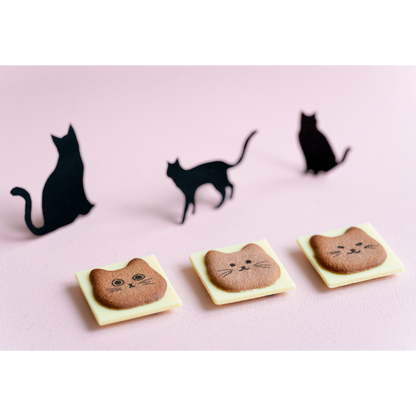 日本信州 - 貓咪餅乾禮盒 neko cookie ♪︎