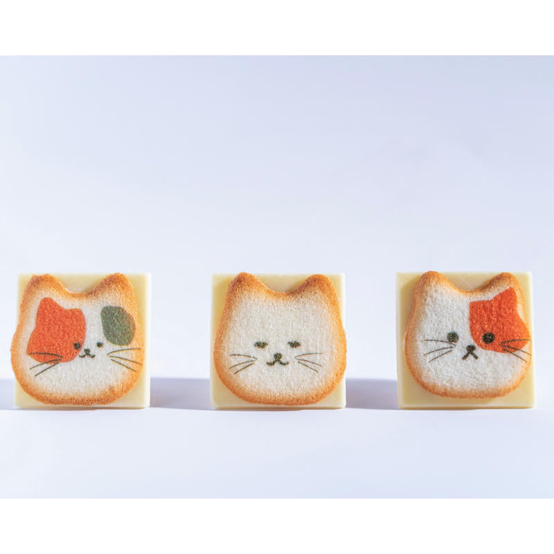 日本信州 - 貓咪餅乾禮盒 neko cookie ♪︎