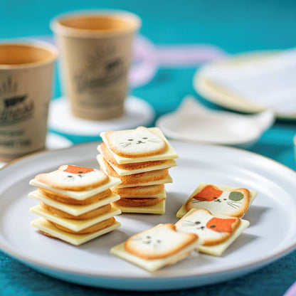 日本信州 - 貓咪餅乾禮盒 neko cookie ♪︎