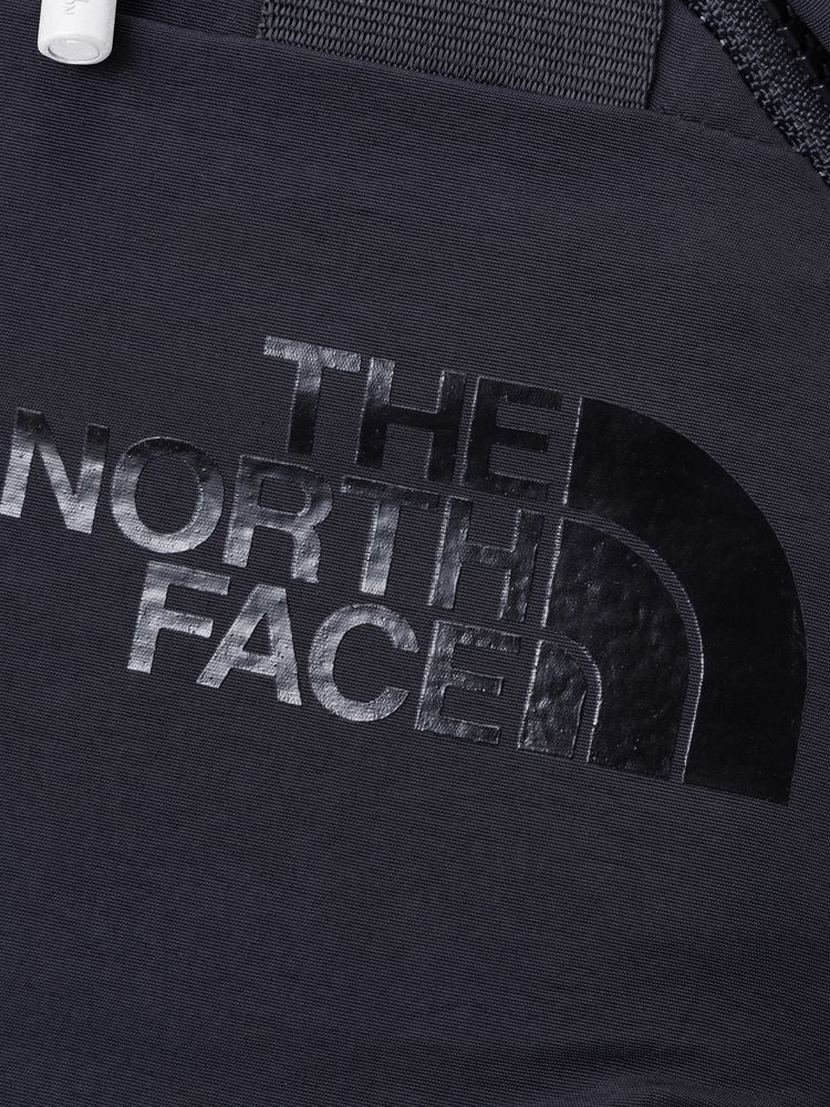 THE NORTH FACE - 後背包 ♪︎