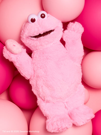 SESAME STREET - 芝麻街PINK FRIENDS 系列 - 春天粉色限定娃娃 ♪︎