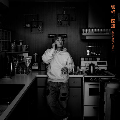 🤡 SEKAI NO OWARI - 琥珀／圖鑑 -  【通常盤A】【CD】 ♪︎