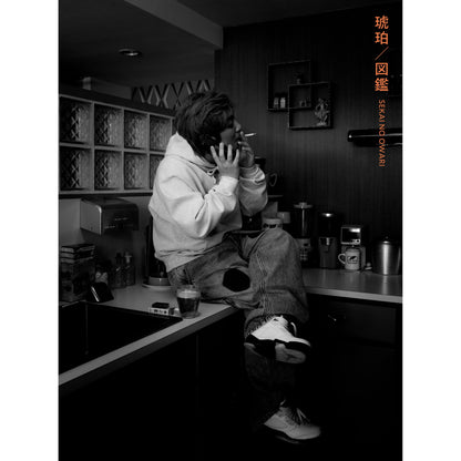 🤡 SEKAI NO OWARI - 琥珀／圖鑑 【初回限定盤A】【CD+DVD】 ♪︎