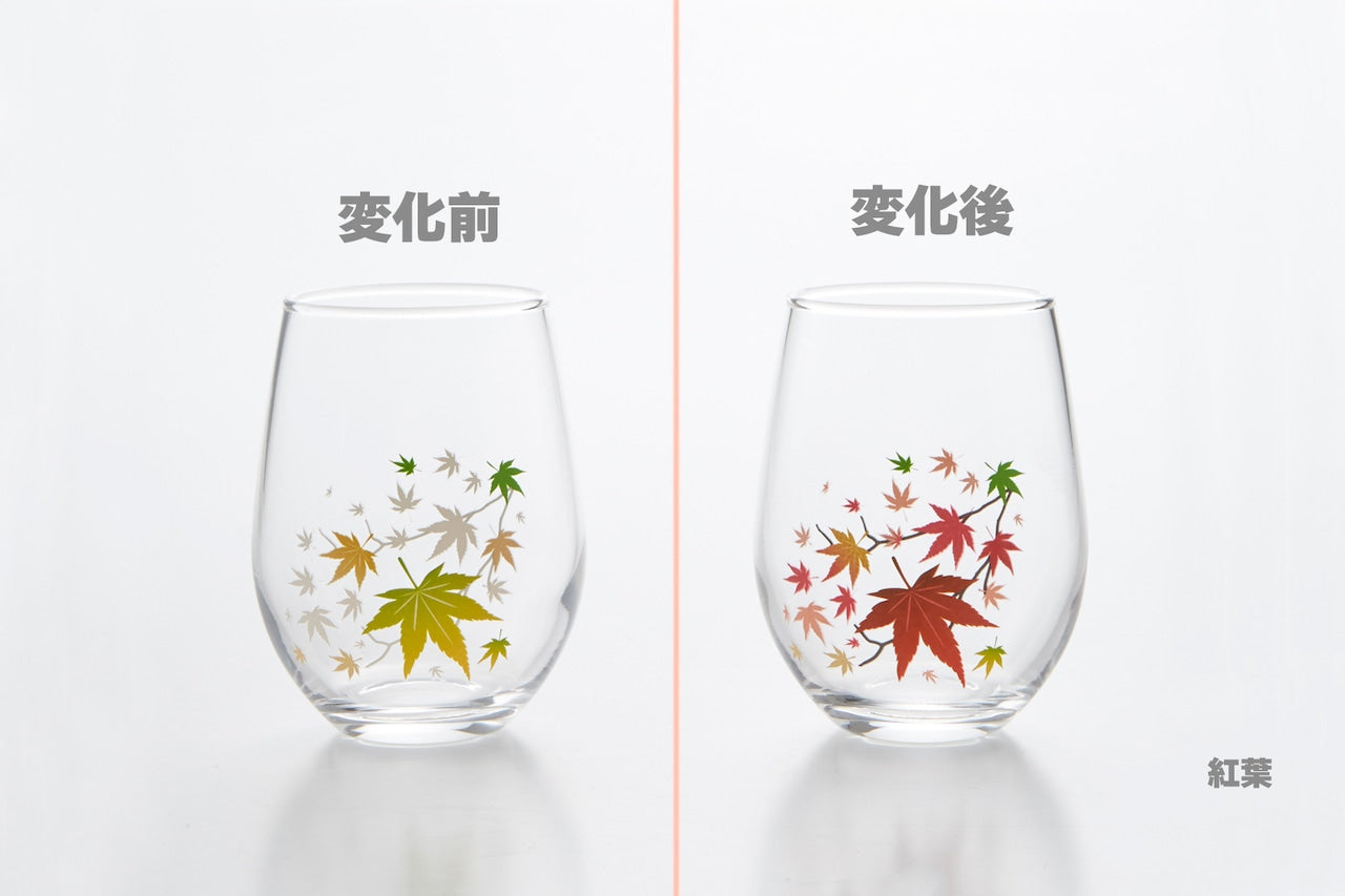 丸モ高木 - 紅葉 - 冷感 FREE GLASS ♪︎