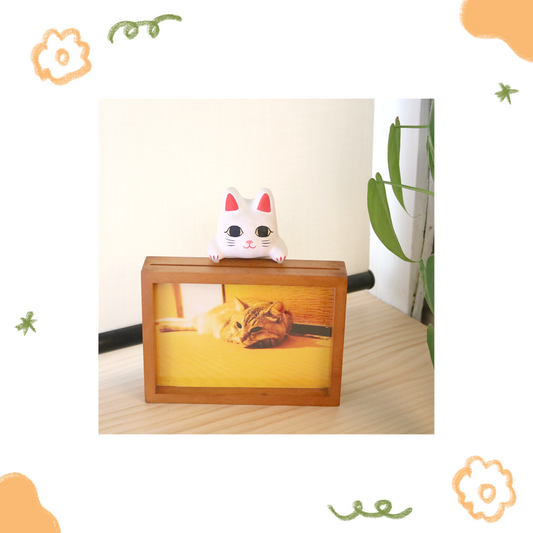 一千乃 - 探頭 守護貓 ♪ - 【中期預購-五月下旬】