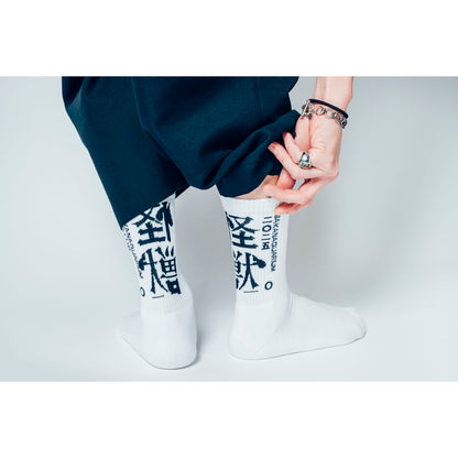 🐟 sakanaction - SAKANAQUARIUM 2025 “怪獣” - SOCKS “怪獣” ♪︎