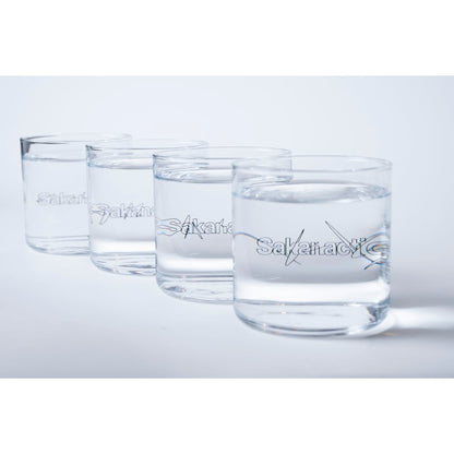 🐟 sakanaction - LIVE at SGC HALL ARIAKE - LOGO GLASS ♪︎ - 【長期預購-7月中旬】
