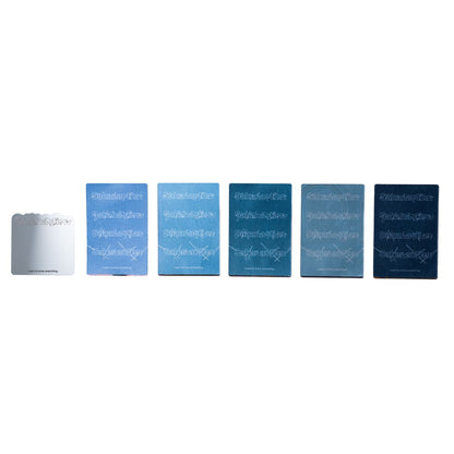 🐟 sakanaction - LIVE at SGC HALL ARIAKE - MIRROR & SATIN STICKER SET ♪︎ - 【長期預購-7月中旬】